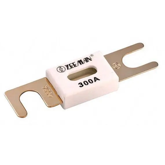 ANL-fuse 300A_80V for 48V products (1 pc)